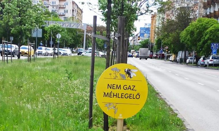 Magyar labdarúgó válogatott